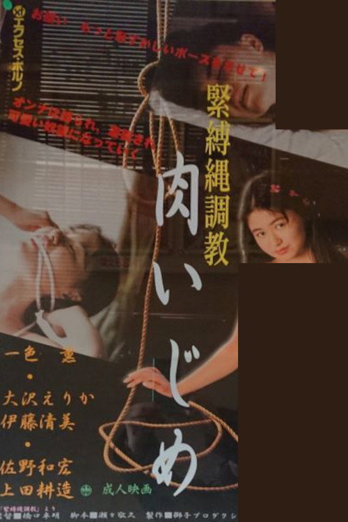 Movie poster for Bondage Rope Training (1992)
