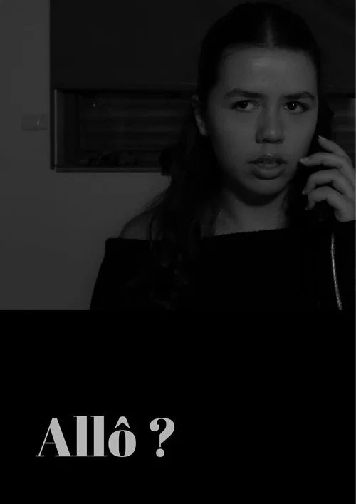 Movie poster for Allô ?