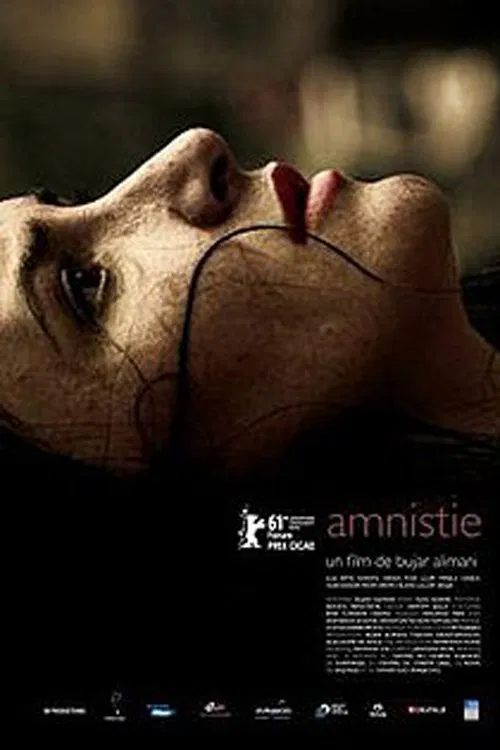 Movie poster for Amnesty (2012)