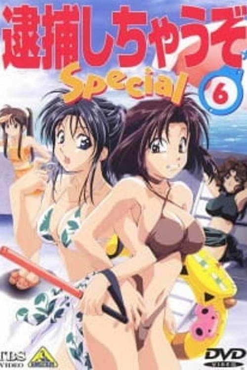 Movie poster for You're Under Arrest! Diverting Traffic at the Beach (1997)