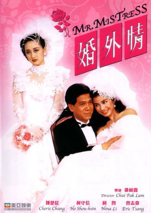 Movie poster for Mr. Mistress (1988)