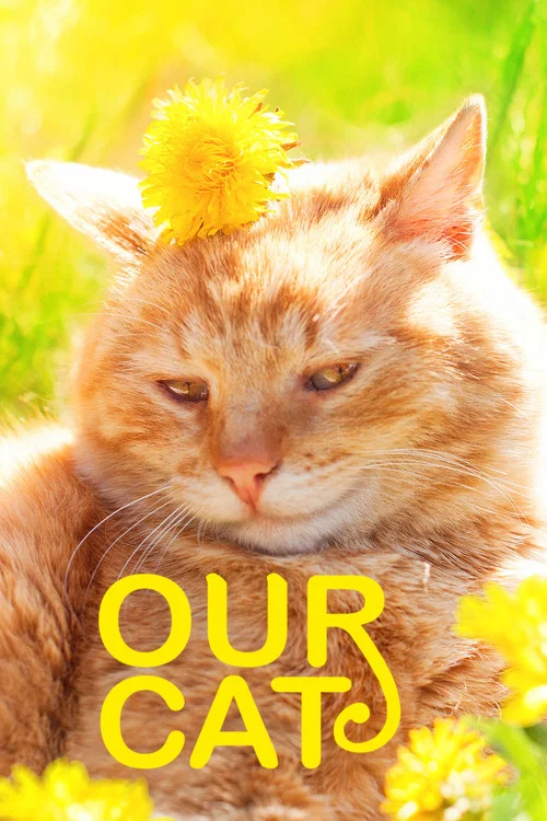Movie poster for Our Cat (2020)