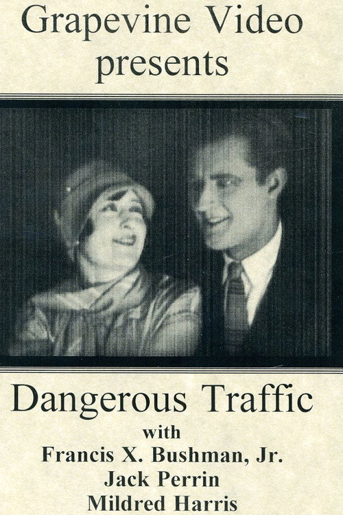 Movie poster for Dangerous Traffic (1926)