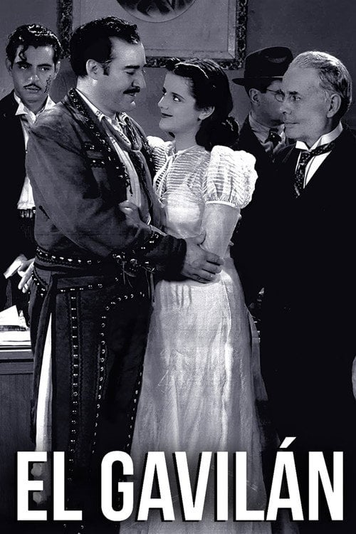 Movie poster for The Hawk (1940)