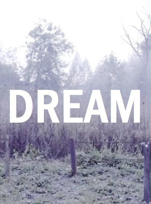Movie poster for Dream (2017)