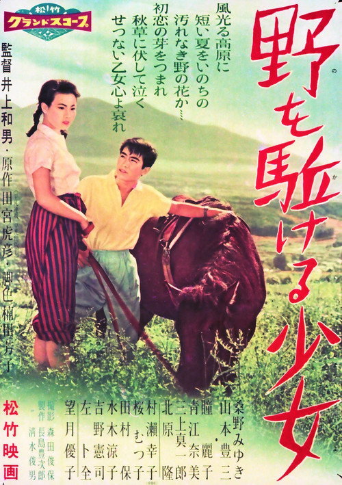 Movie poster for Farewell to Summer (1958)