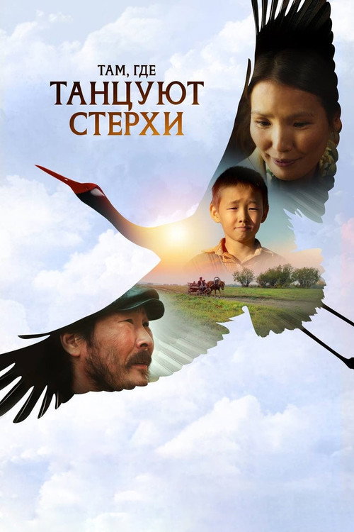 Movie poster for Where the White Cranes Dance (2024)