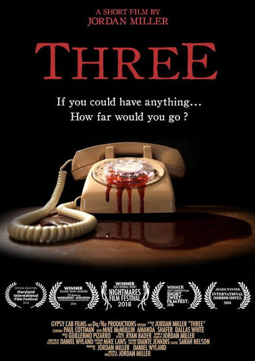 Movie poster for Three (2018)