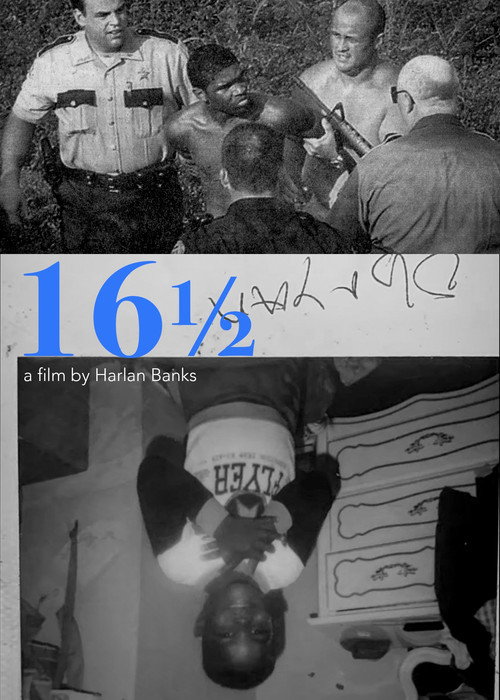 Movie poster for 16 1/2 (2025)