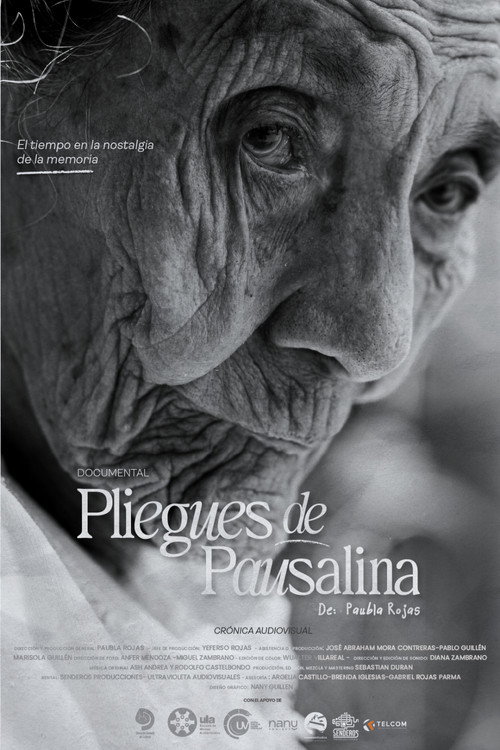 Movie poster for Pliegues de Pausalina (2025)