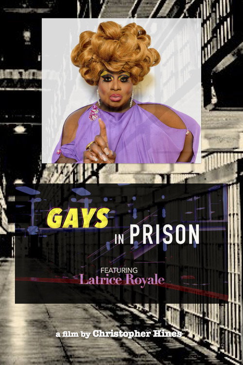 Movie poster for Gays in Prison (2015)