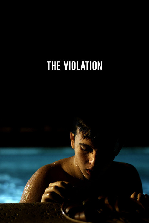 Movie poster for The Violation (2013)