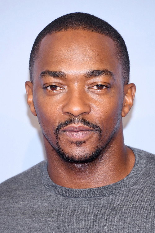 Photo of Anthony Mackie, Acting