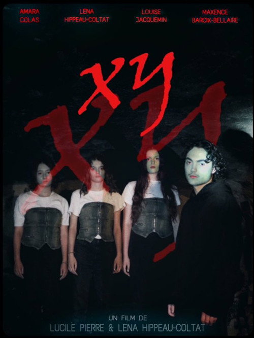 Movie poster for XY