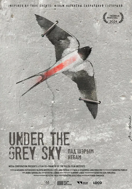 Movie poster for Under the Grey Sky (2025)