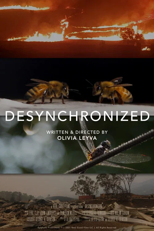 Movie poster for Desynchronized (2021)