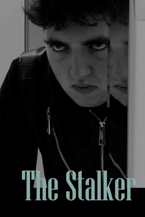 Movie poster for The Stalker (2022)