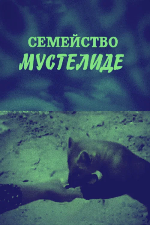 Movie poster for The Mustelidae Family (1975)