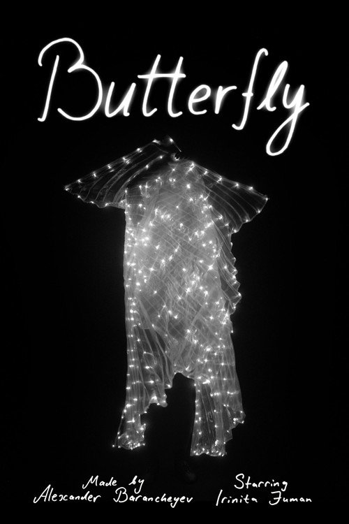 Movie poster for Butterfly (2025)