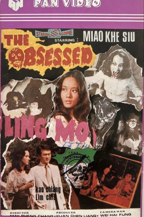Movie poster for The Obsessed (1975)