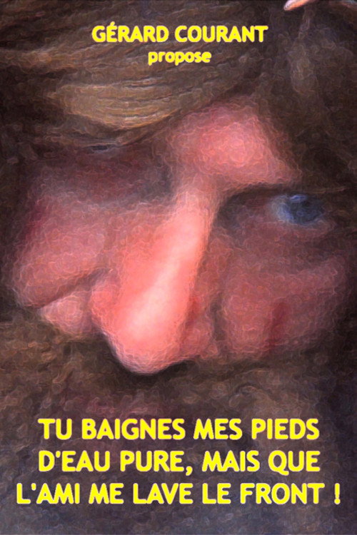 Movie poster for Tu baignes mes pieds d'eau pure, mais que l'ami me lave le front ! (2013)