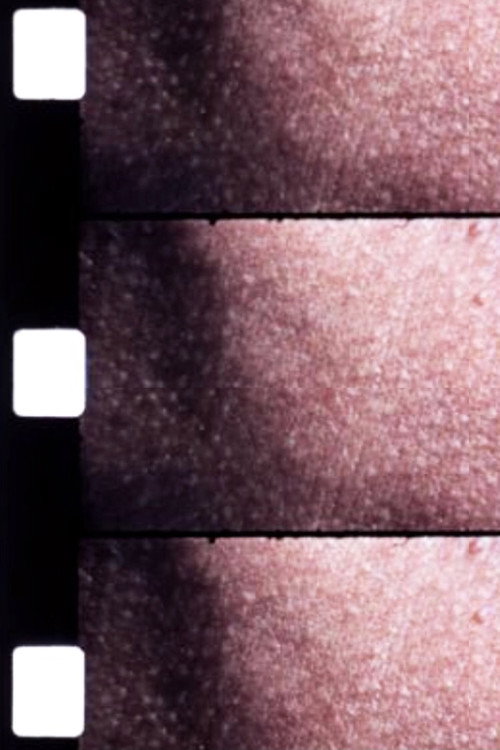 Movie poster for Carotid Artery (1970)