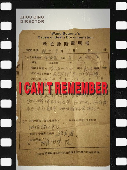 Movie poster for I Don't Quite Recall (2025)