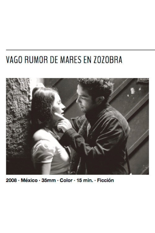 Movie poster for The Soft Rumor of Tumultuous Seas (2008)