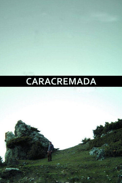 Movie poster for Burnface (2010)