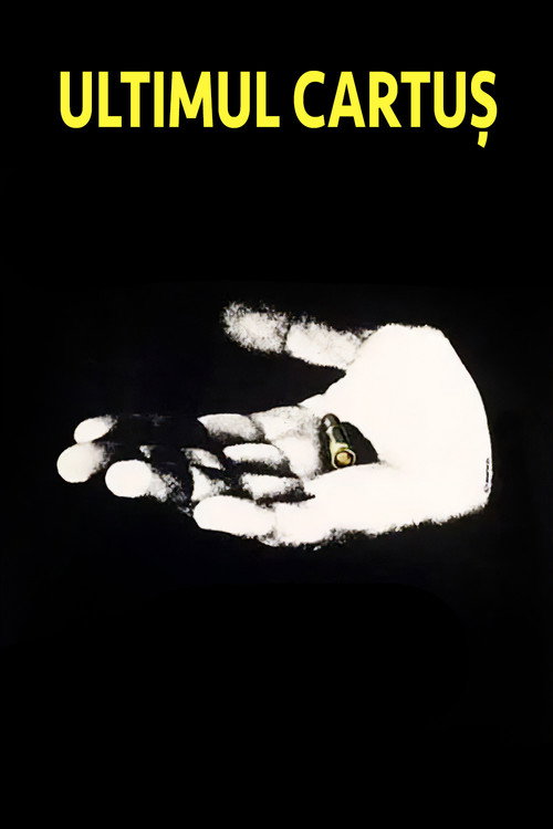 Movie poster for The Last Bullet (1973)