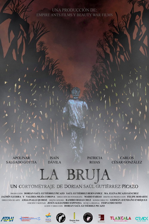 Movie poster for The Witch (2021)