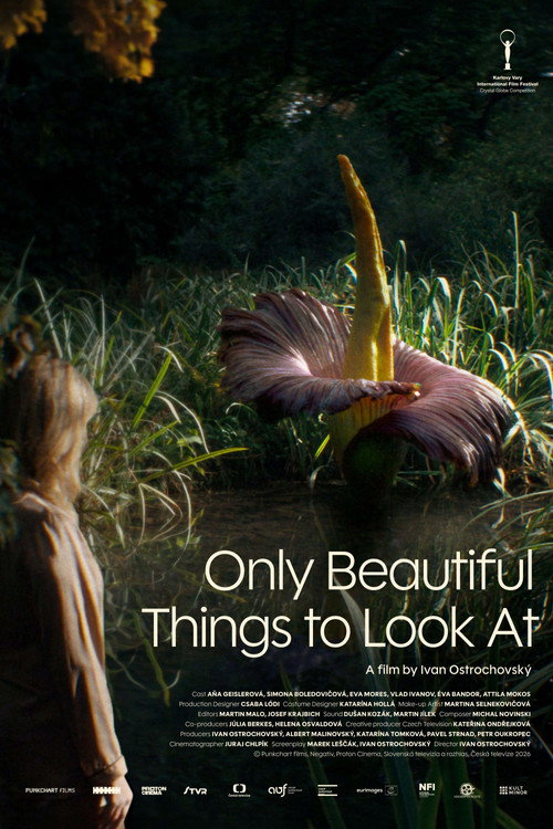 Movie poster for Only Beautiful Things to Look At (2026)