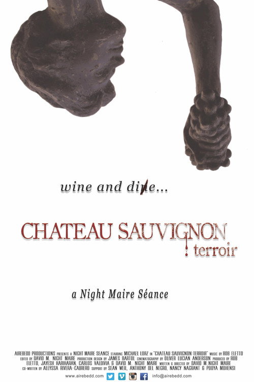 Movie poster for Chateau Sauvignon: terroir (2015)