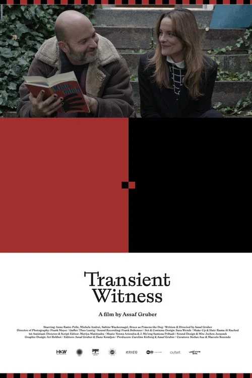 Movie poster for Transient Witness (2026)