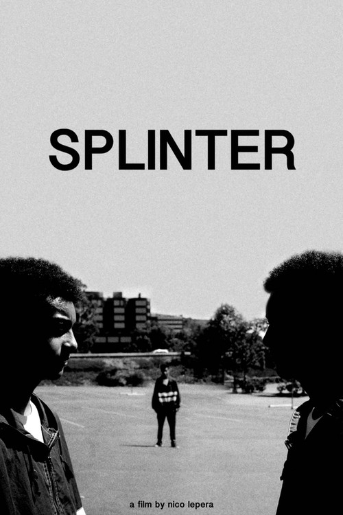 Movie poster for Splinter (2020)