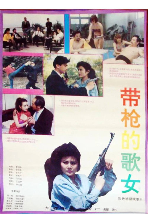 Movie poster for Woman Signer with a Gun (1993)
