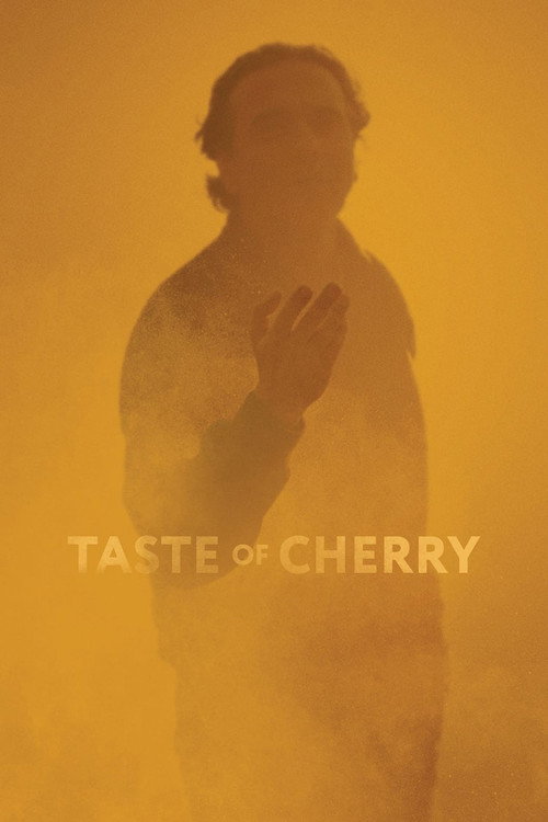 Movie poster for Taste of Cherry (1997)