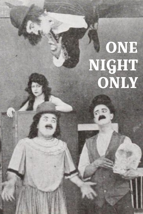 Movie poster for One Night Only (1919)