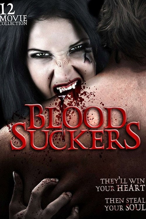 Movie poster for A Vampire's Tale (2008)