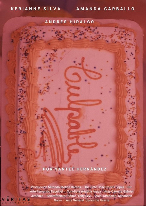 Movie poster for Culpable (2022)