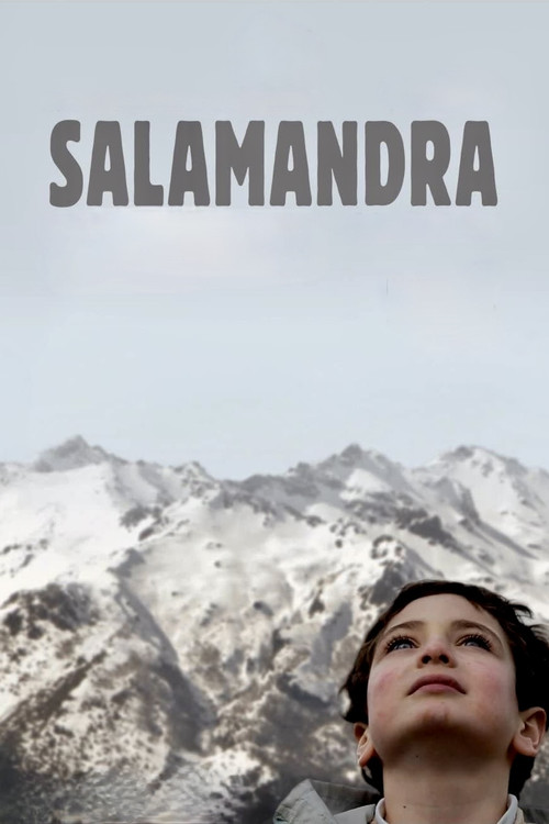 Movie poster for Salamander (2008)
