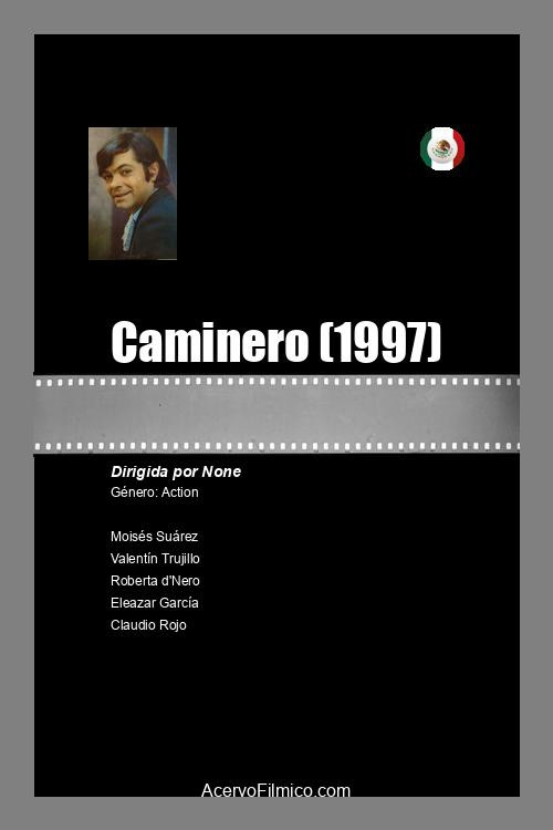 Movie poster for Caminero (1997)