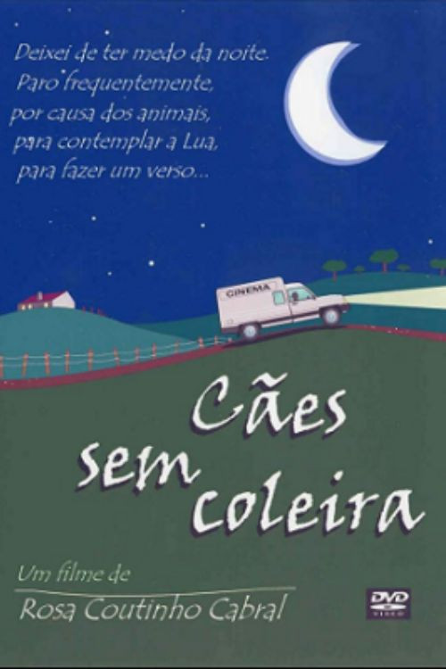 Movie poster for Cães Sem Coleira (1999)