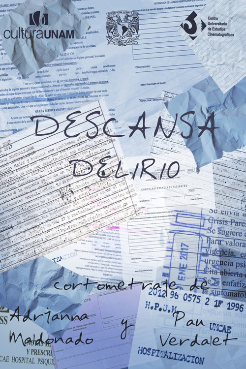 Movie poster for Rest of Delirium (2019)