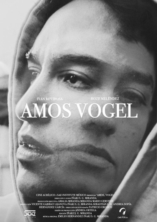 Movie poster for Amos, Vogel (2024)