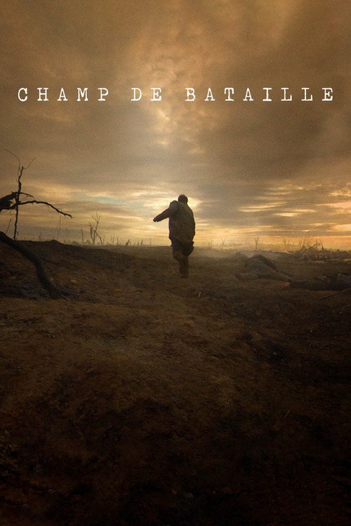 Movie poster for Champ de bataille