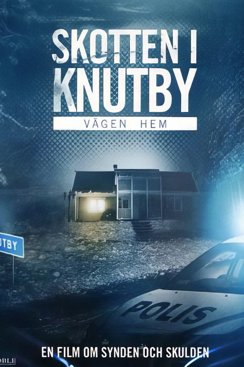 Movie poster for Vägen hem (2009)