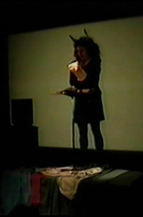 Movie poster for Vulva's School (1995)