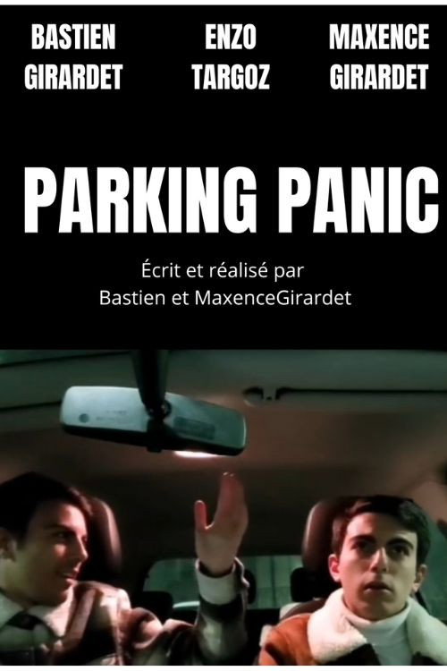 Movie poster for PARKING PANIC