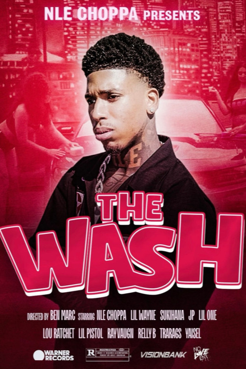 Movie poster for The Wash (2024)